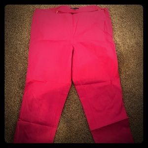 Fuschia Chaus dress pant